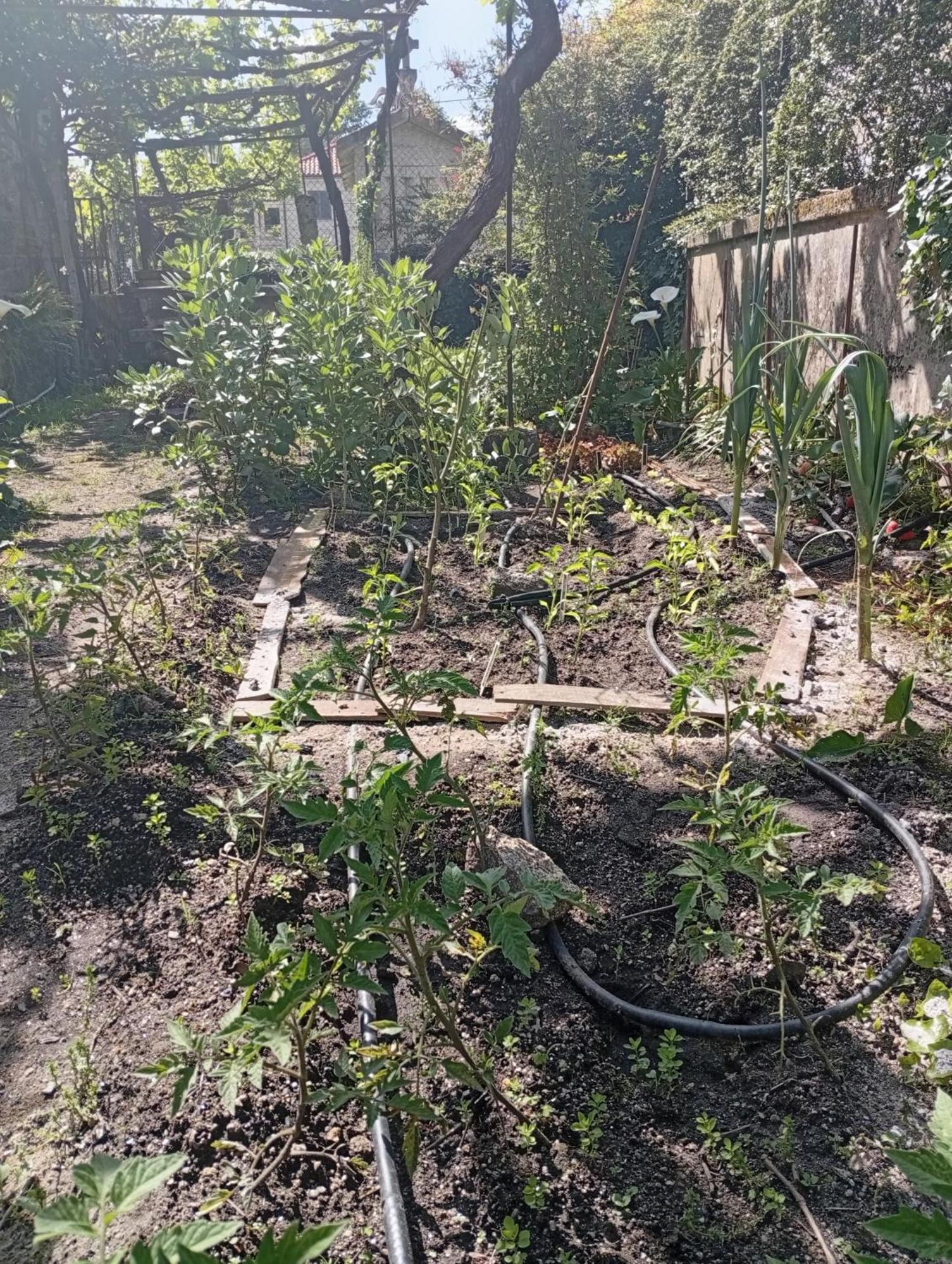 Casinha Da Horta Villa Soajo Bagian luar foto