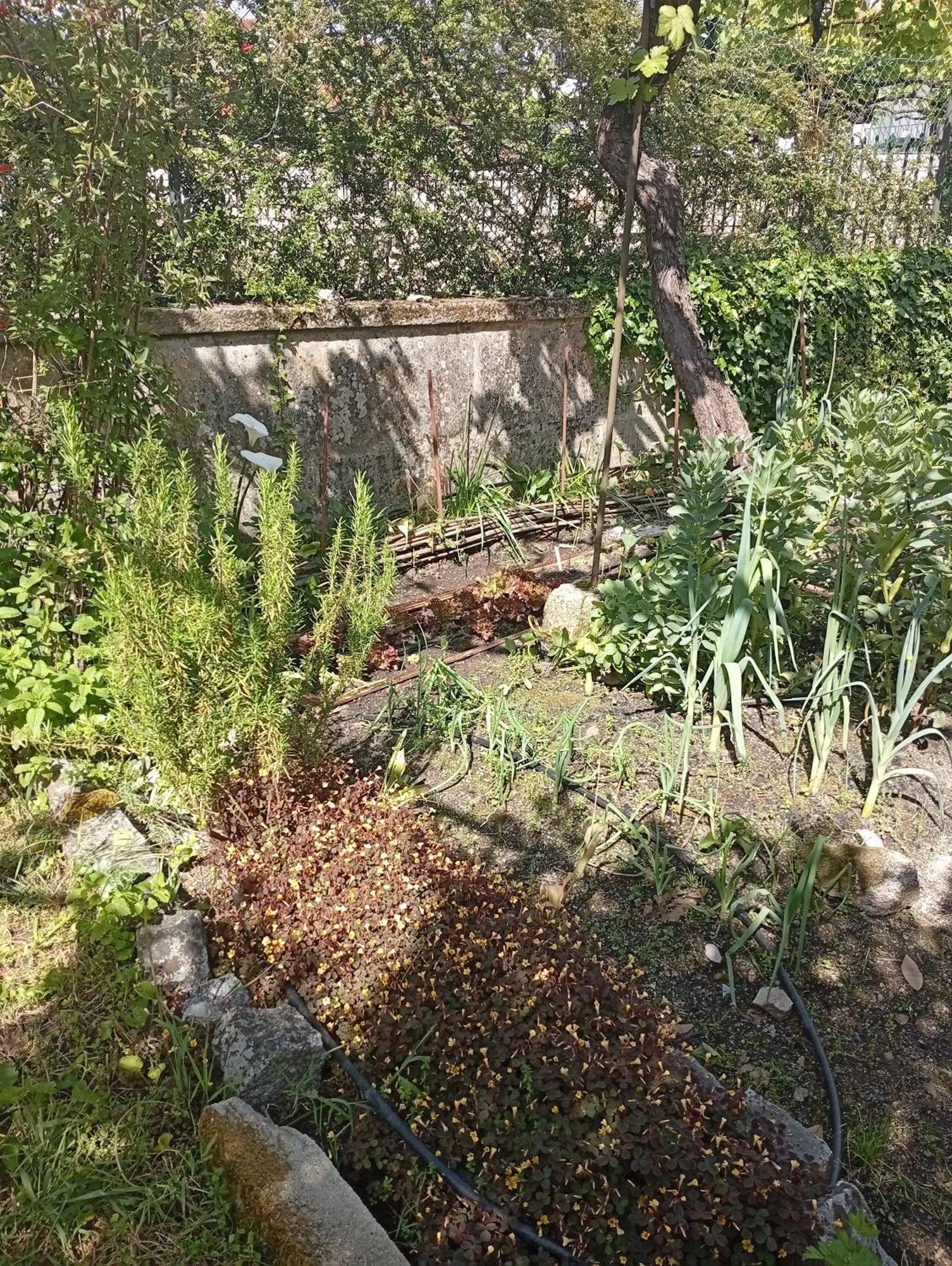 Casinha Da Horta Villa Soajo Bagian luar foto